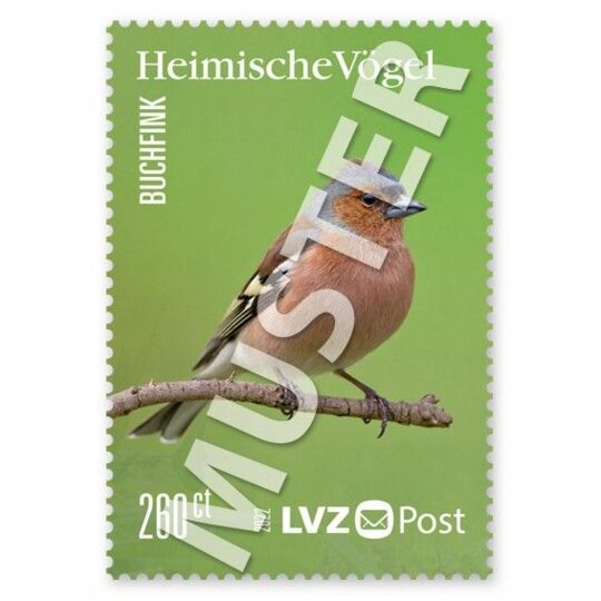 Briefmarke 2,60 € Heimische Vögel II 