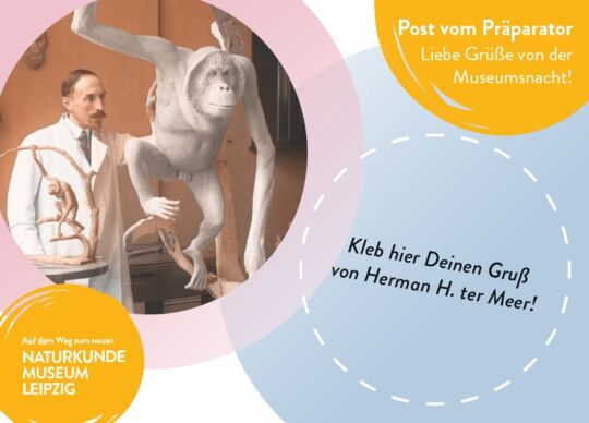 Ganzsachenkarte 1,10€ Museumsnacht ter Meer 2022 Vorderseite